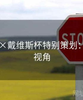 k8娱乐×戴维斯杯特别策划：数据派视角