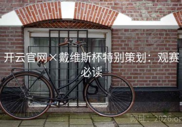 开云官网×戴维斯杯特别策划：观赛必读