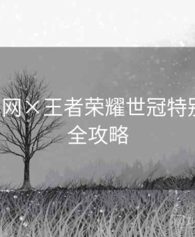 开云官网×王者荣耀世冠特别策划：全攻略