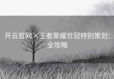 开云官网×王者荣耀世冠特别策划：全攻略