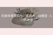完美体育研究所：亚冠大小球模型·入门到精通