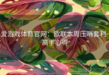 爱游戏体育官网：欧联本周压哨套利·高手心得