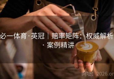 必一体育·英冠｜赔率矩阵：权威解析 · 案例精讲