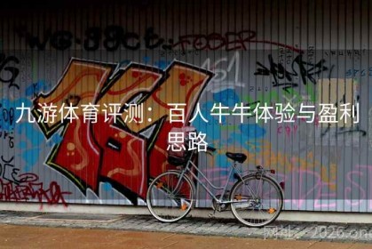 九游体育评测：百人牛牛体验与盈利思路