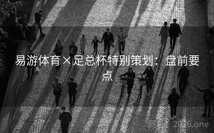 易游体育×足总杯特别策划:盘前要点 易游体育×足总杯特别策划:盘前要点